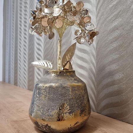 Bivio Apartment Dolna Banská Štiavnica المظهر الخارجي الصورة